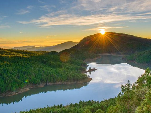 【太平山森林遊樂區】
