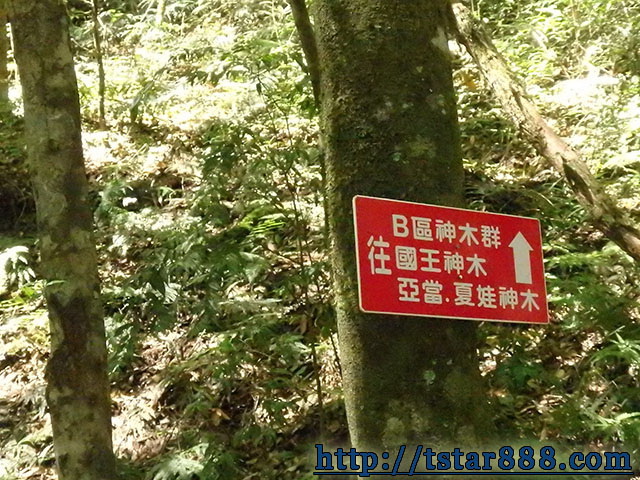 司馬庫斯