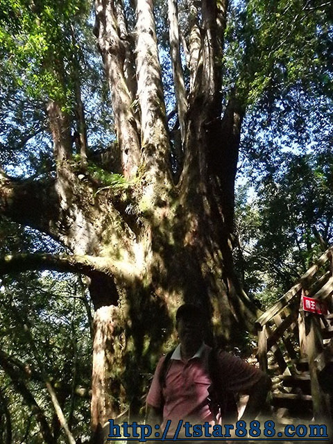 司馬庫斯