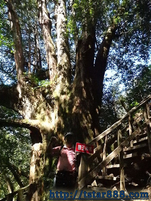司馬庫斯